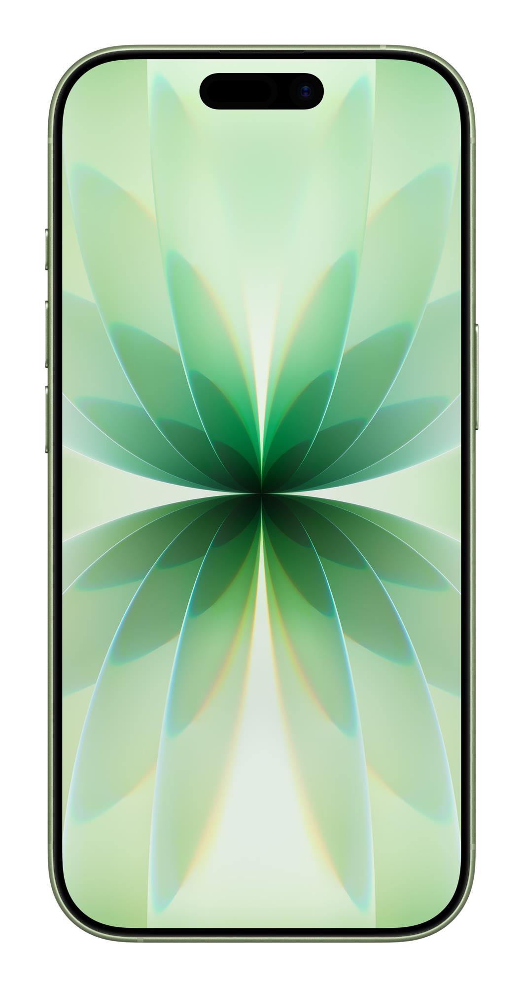 MOBILE PHONE IPHONE 17/256GB SAGE MG6N4 APPLE MOBILE PHONE IPHONE 17/256GB SAGE MG6N4 APPLE