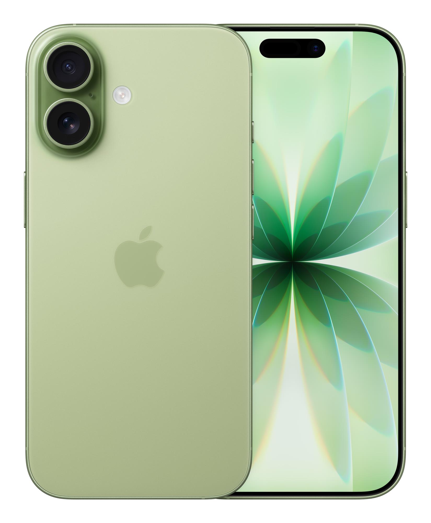 MOBILE PHONE IPHONE 17/256GB SAGE MG6N4 APPLE MOBILE PHONE IPHONE 17/256GB SAGE MG6N4 APPLE